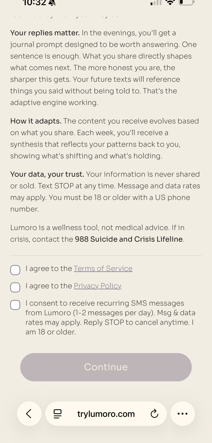 Terms overlay with three consent checkboxes